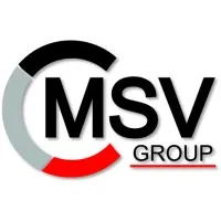 MSV Group MSV Group