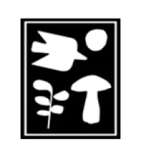 HARRISON GREEN HARRISON GREEN