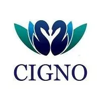 Cigno Loans