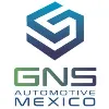 GNS Automotive Mexico GNS Automotive Mexico