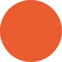 Paim United Creators