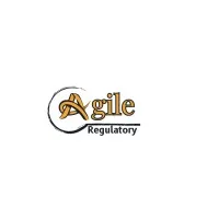 Agile Regulatory