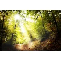 Healing Path Therapy Healing Path Therapy