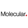 Molecular Molecular