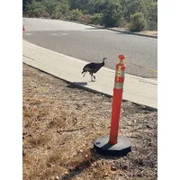 AVIARY MANAGEMENT PROFESSIONALS, LLC AVIARY MANAGEMENT PROFESSIONALS, LLC