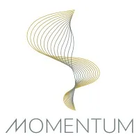 Momentum Advisory Group Momentum Advisory Group
