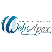 WebsApex - E-commerce Web Design and Web Development Company in Delhi, India