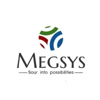 Megsys Digital Private Limited