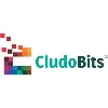 CludoBits IT Solutions Pvt Ltd CludoBits IT Solutions Pvt Ltd