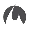 Mastermyne Group Limited Mastermyne Group Limited