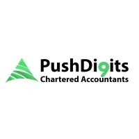 Push Digits Chartered Accountants