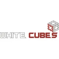 WHITE CUBES
