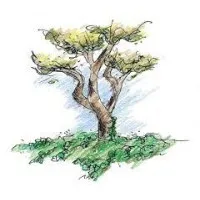 Ivyland Counseling Center