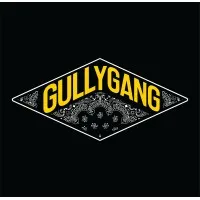 Gully Gang