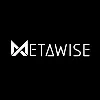 MetaWise MetaWise