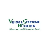 Vision et Stratégie Holding