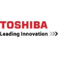 TOSHIBA RUS LLC