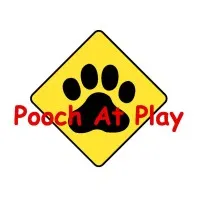 Pooch At Play