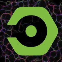 NANO. Núcleo de Arte e Novos Organismos