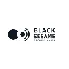 Black Sesame Technologies (Singapore) Pte Ltd Black Sesame Technologies (Singapore) Pte Ltd