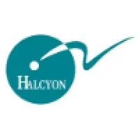 Halcyon Search International Halcyon Search International