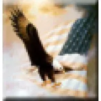 American Eagle Steel Co., LLC American Eagle Steel Co., LLC