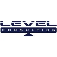 The Level Consulting 