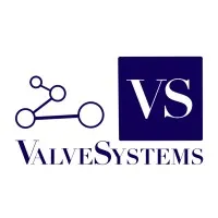 ValveSystems Inc