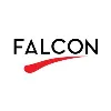 Falcon Incorporation Falcon Incorporation