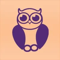 Smart Owl Info Systems