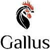 Gallus Golf Gallus Golf