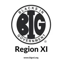 Blacks In Government Region XI Council