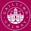 University of Galway - J.E. Cairnes School of Business & Economics University of Galway - J.E. Cairnes School of Business & Economics