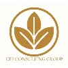 CFE Consulting Group CFE Consulting Group