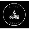 E-cell, IGDTUW E-cell, IGDTUW