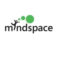 Mindspace Market Research