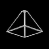 ASTATICA ASTATICA