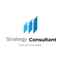Strategy Consultant