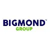 BIGMOND GROUP BIGMOND GROUP