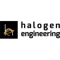 HALOGEN ENGINEERING GROUP, INC HALOGEN ENGINEERING GROUP, INC