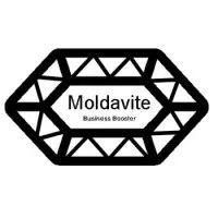 Moldavite Business Booster
