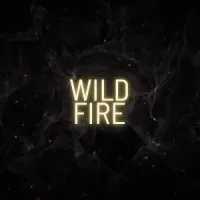 The Wildfire Group AI Hiring Risk Advisory & Talent Strategy