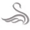 Cygnus Asset Management, LLC.