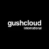 Gushcloud International Gushcloud International