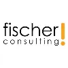 Fischer Consulting Fischer Consulting