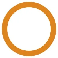 Optiscan Imaging Ltd