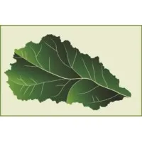 CAPTINA CONSERVANCY CAPTINA CONSERVANCY