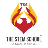 THE STEM SCHOOL