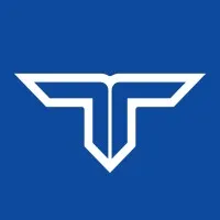 Team Auto Group