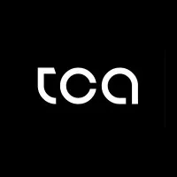 The Consultant Agency